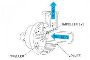 Volute Centrifugal Pump